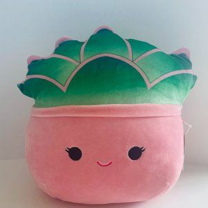 12" Succulent Squishmallow